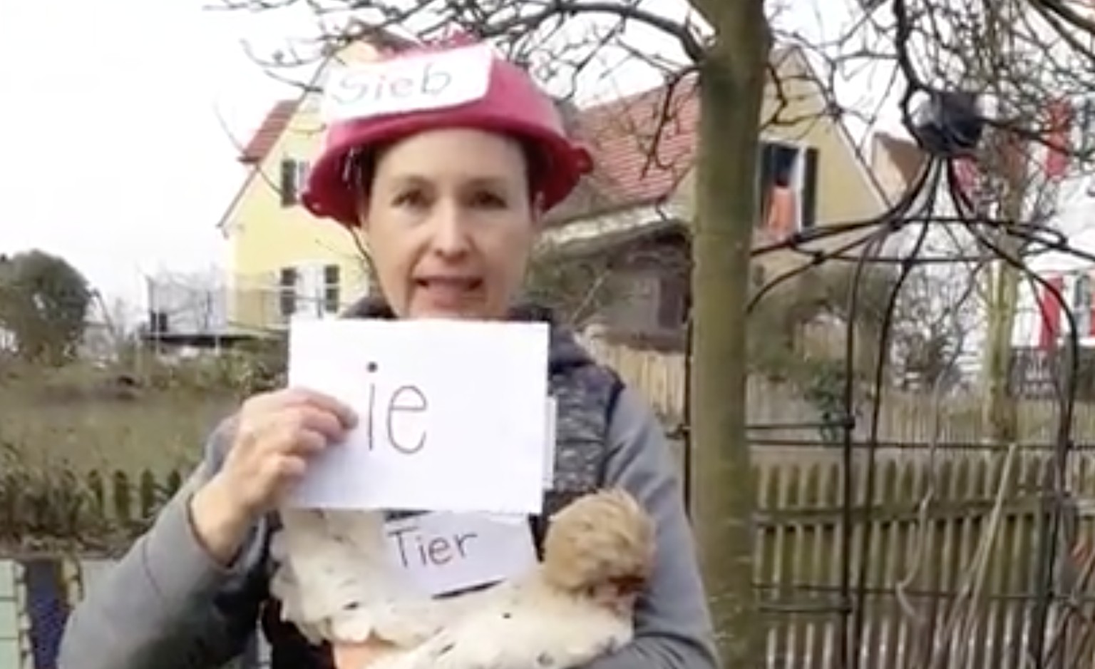 Diese Lehrerin versucht ihren Primarschülern im Video Wörter mit «ie» beizubringen.