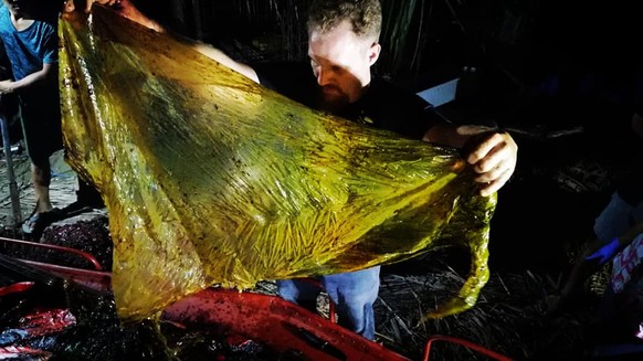 An einem philippinischen Strand ist ein Wal mit 40 Kilogramm Plastik im Magen verendet. Das Tier sei regelrecht verhungert, weil der ganze Müll seinen Magen gefüllt habe.