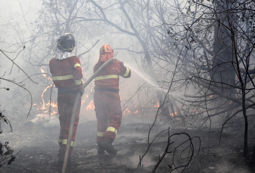 epa06093373 Firemen and Civil Protection personnel work to extinguish a fire in the pine forest of Castelfusano in Ostia near Rome, Italy, 17 July 2017. Homes in Rome and Naples have been evacuated as ...