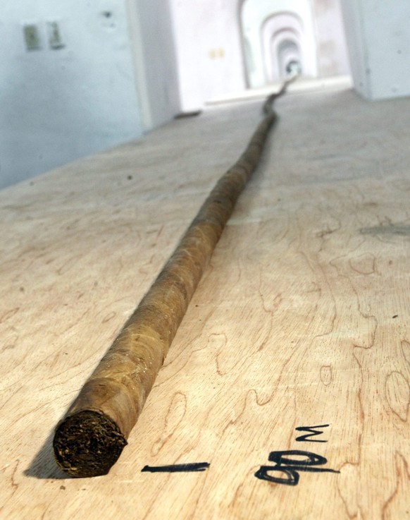 epa05477812 A view of the world&#039;s longest cigar rolled up by Cuban Jose Castelar Cairo, known as &#039;Cueto&#039;, and presented to the public in Havana, Cuba, 12 August 2016. The cigar was made ...