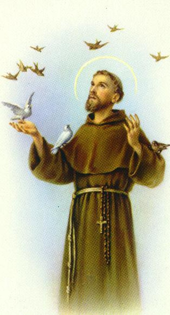 Päpstliches Vorbild: Franz von Assisi.