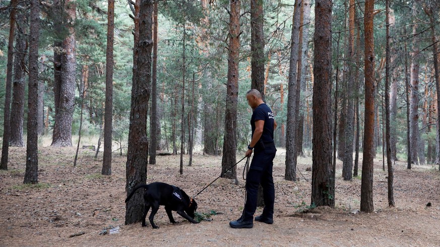 epa07810424 Members of the Spanish National Police search for Spanish Olympic medalist Blanca Fernandez Ochoa after her car was found nearby in Cercedilla, Madrid, Spain, 01 September 2019. The police ...