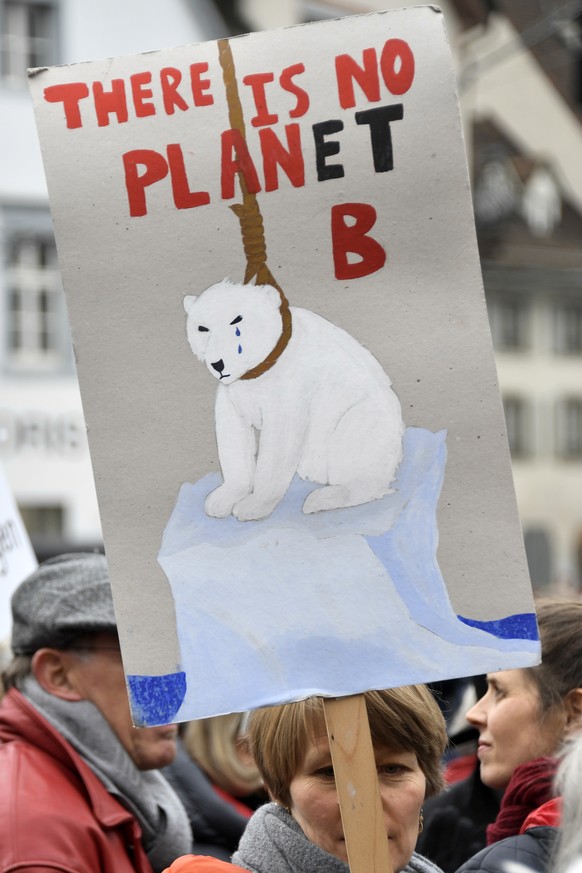 Demonstranten protestieren im Namen der Bewegung Klimastreik Schweiz in Basel, am Samstag, 2. Februar 2019. (KEYSTONE/Georgios Kefalas)