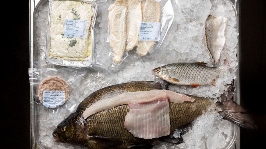Kann man nachhaltig Fisch konsumieren?