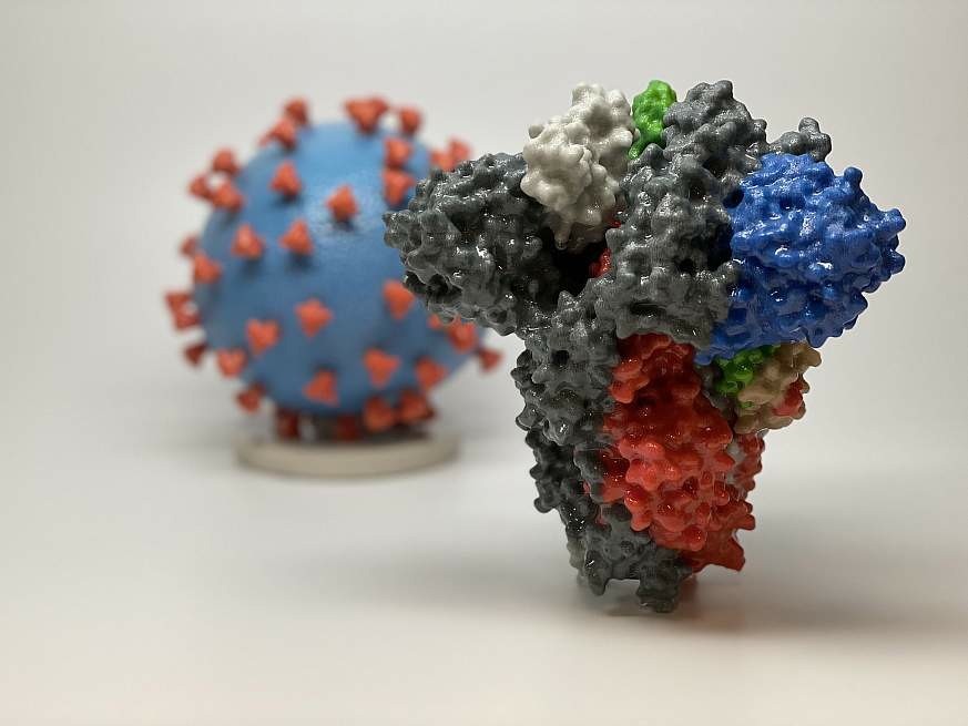 3D-Druck eines Spike-Proteins von SARS-CoV-2 - auch bekannt als 2019-nCoV, das Virus, das COVID-19 verursacht - vor einem 3D-Druck eines SARS-CoV-2-Viruspartikels. Das Spike-Protein (Vordergrund) ermö ...