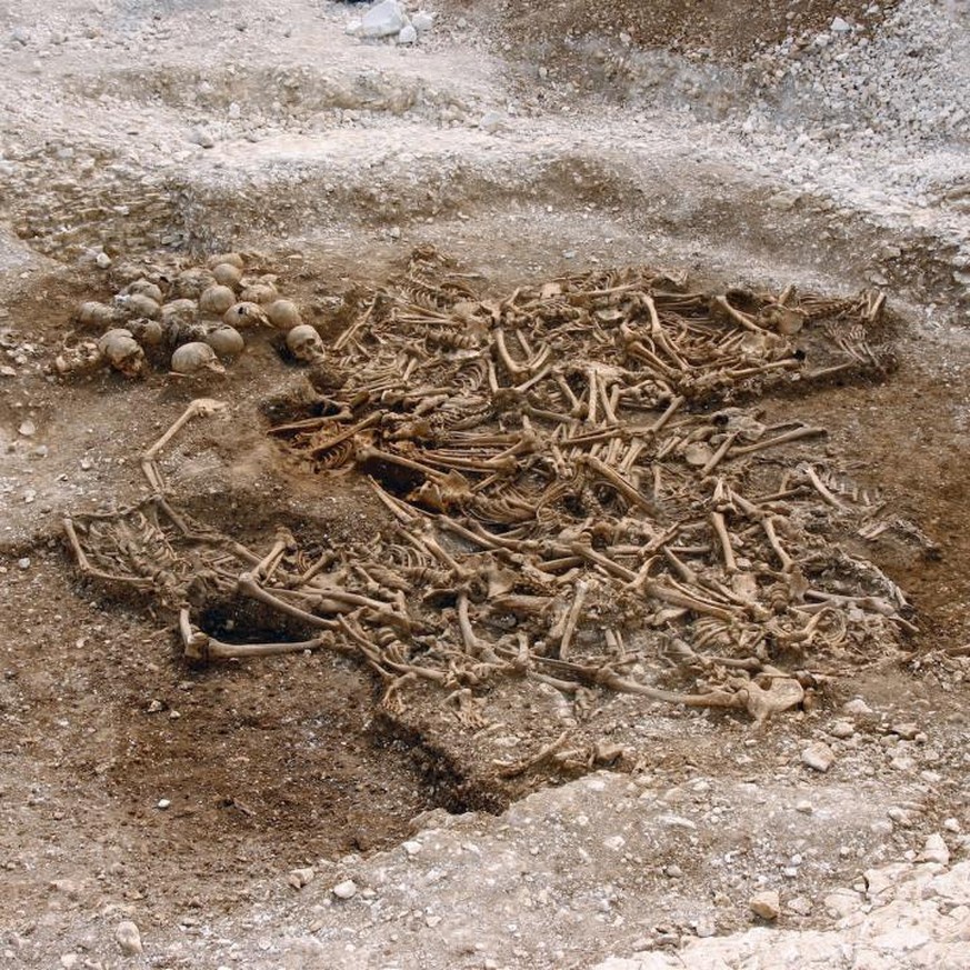 A mass grave of around 50 headless Vikings from a site in Dorset, UK. Some of these remains were used for DNA analysis.