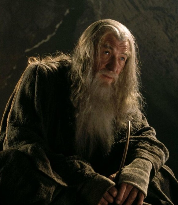Gandalf Frodo Herr der Ringe