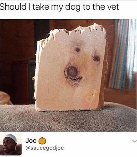 Holz sieht wie ein Hund aus
Picdump
https://me.me/i/21396668