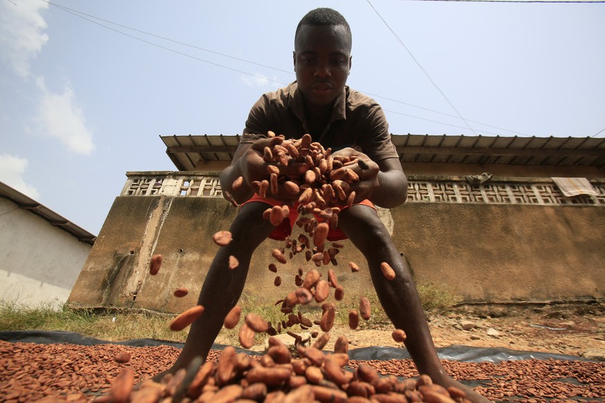 epa06433760 Farmers from Ivory Coast work with cocoa beans at a farm in Tiassale town in southern Ivory Coast, 09 January 2018. Cocoa, the main ingredient in chocolate, is a very profitable crop in We ...