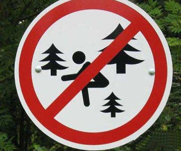 Ob dieses Verbot auch auf das kleine, beziehungsweise grosse, Geschäft bezogen ist, wissen wir nicht. Vielleicht darf man in dem Wald auch einfach keine Kniebeugen machen.