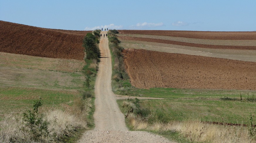 This Sept. 19, 2015 photo shows pilgrims walking a stretch of the Camino de Santiago across La Rioja farmland in Spain. People from around the world walk the camino frances, a 500-mile medieval pilgri ...