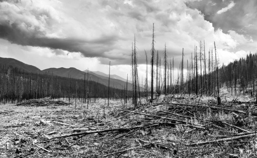 Rice Ridge Forest Fire, Tales of Change, Bild: Florian Reber