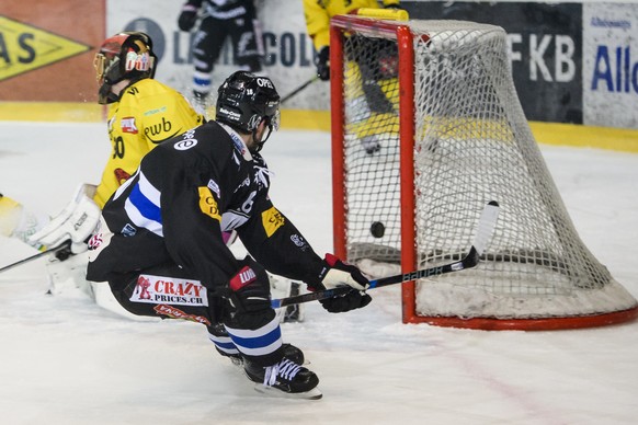 L&#039;attaquant fribourgeois Michal Birner, devant, marque le 2.0 au gardien bernois Leonardo Genoni, derriere, lors de la rencontre du championnat suisse de hockey sur glace de National League entre ...
