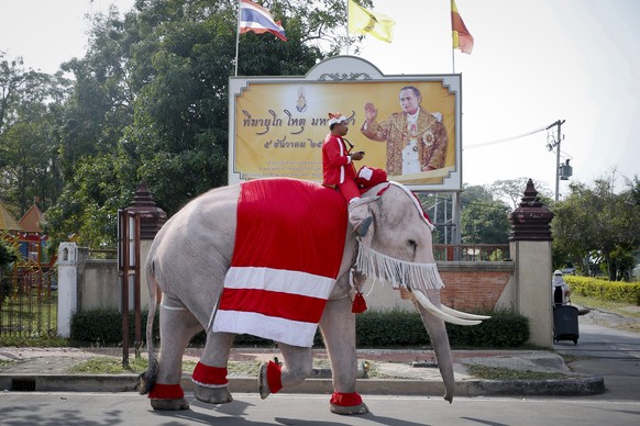 Ein weihnächtlich verzierter Elefant in Thailand.