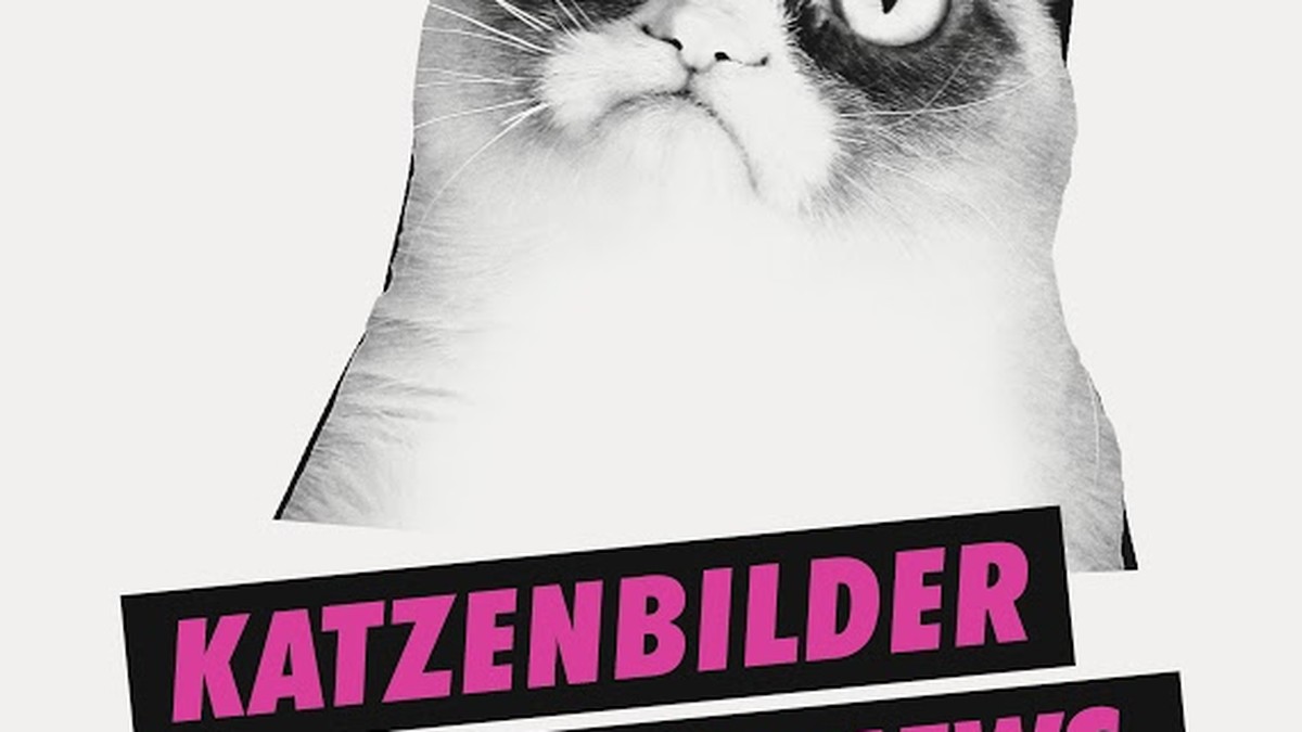 Wie Aus Grumpy Cat Ein Goldesel Wurde Watson