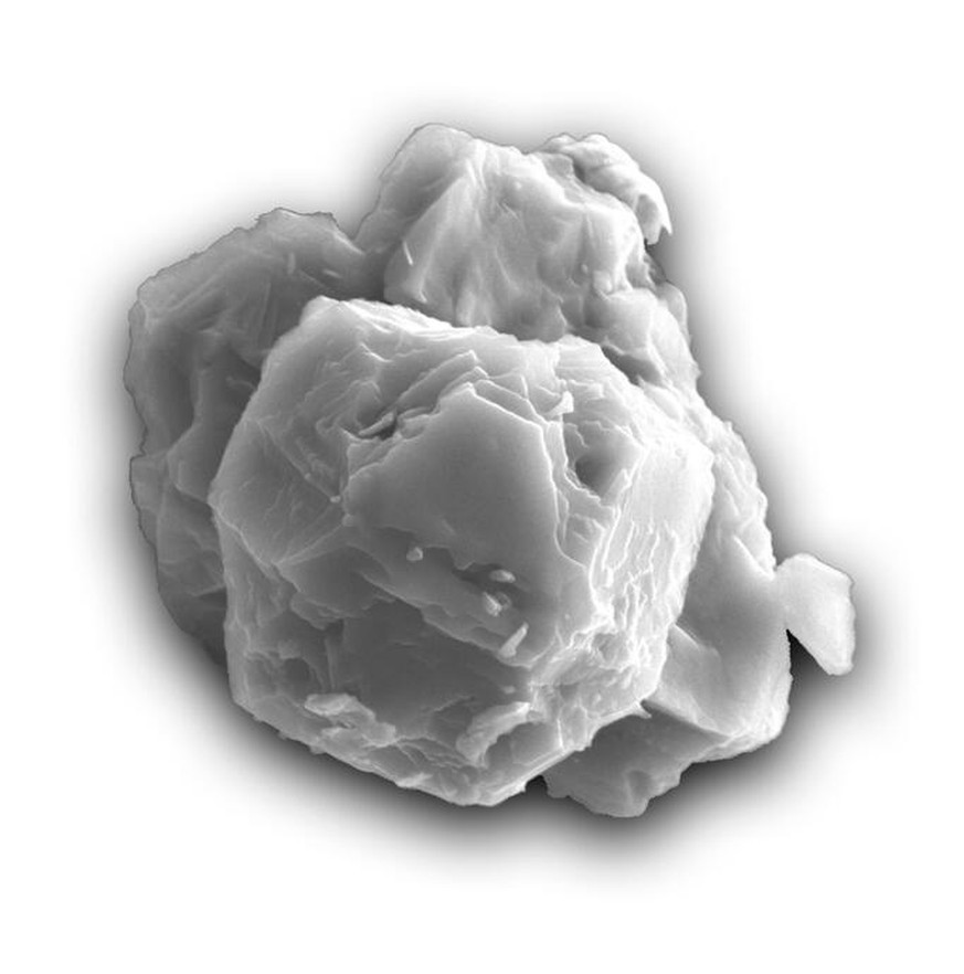 Ein präsolares Körnchen Sternenstaub aus Siliziumcaarbid von rund acht Mikrometer Grösse.