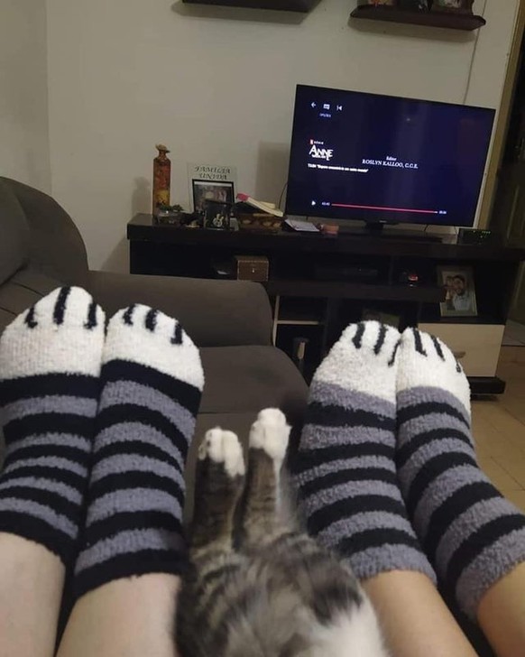 FĂŒr den perfekten Abend mit der Familie.
