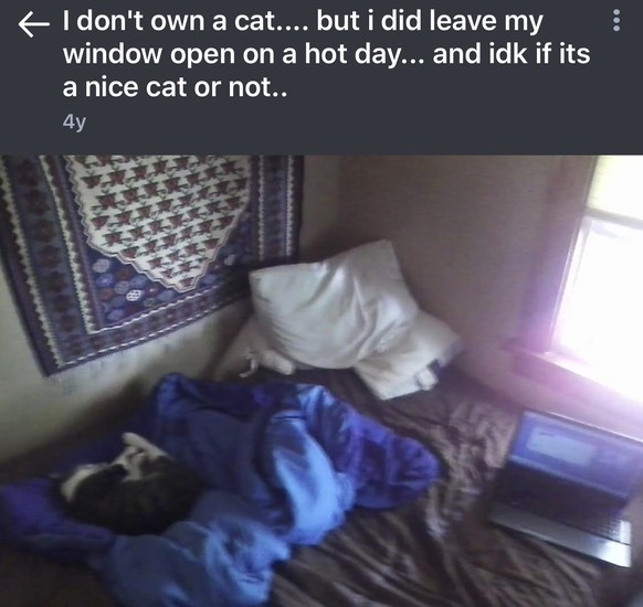 Ich besitze gar keine Katze
https://imgur.com/gallery/I8xoC