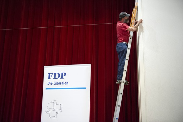 Die FDP dürfte gegenüber dem Jahr 2011 leicht zulegen.