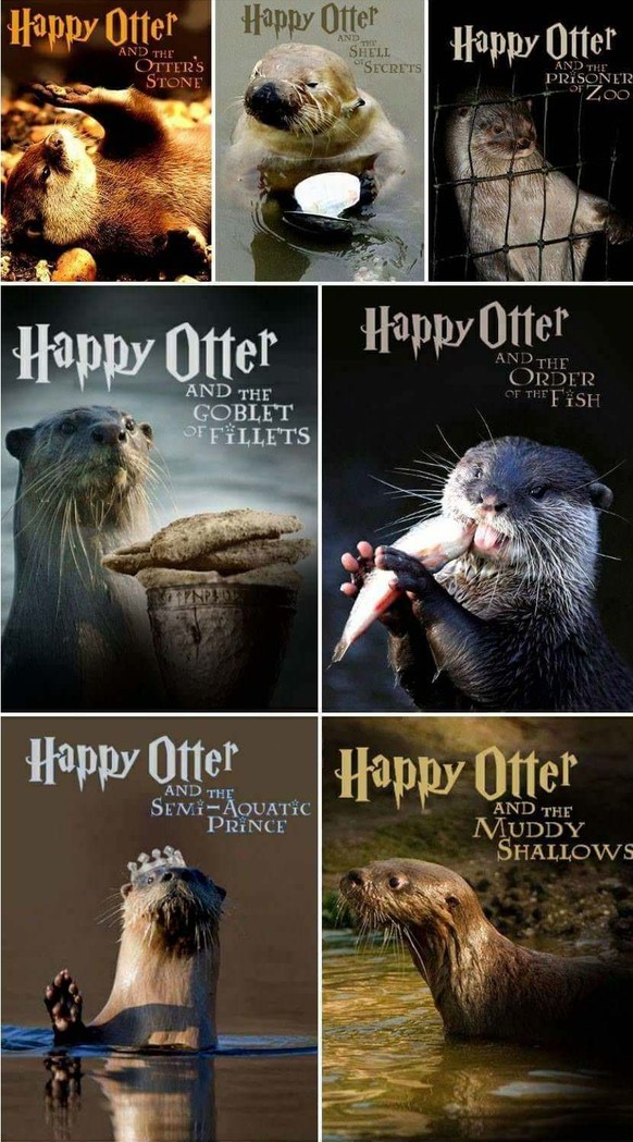Happy Otter
Cute News
https://imgur.com/gallery/2QPEJ