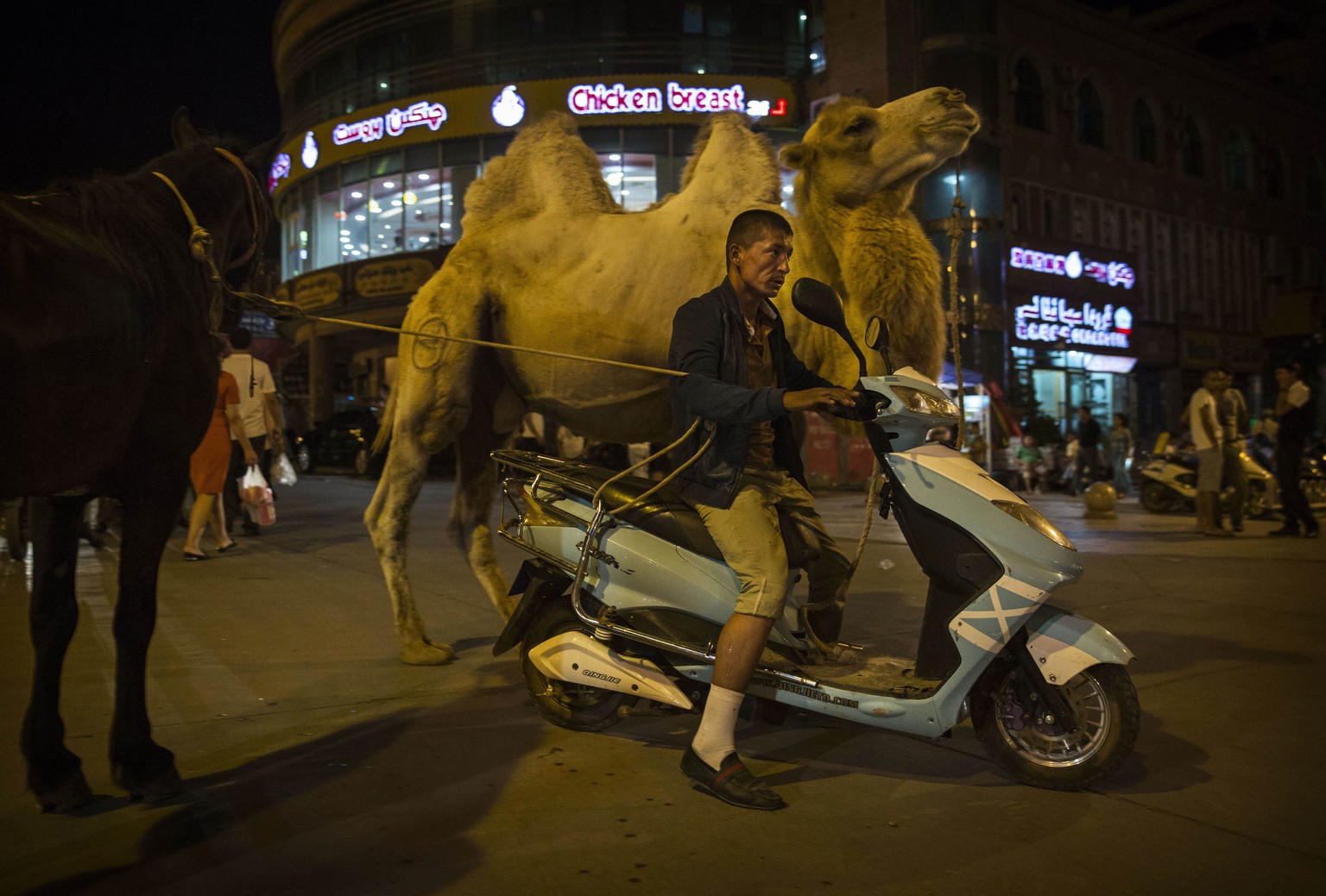 Strassenszene in Kaschgar: Der Mann auf dem Roller führt ein Kamel und ein Pferd an der Leine. &nbsp;