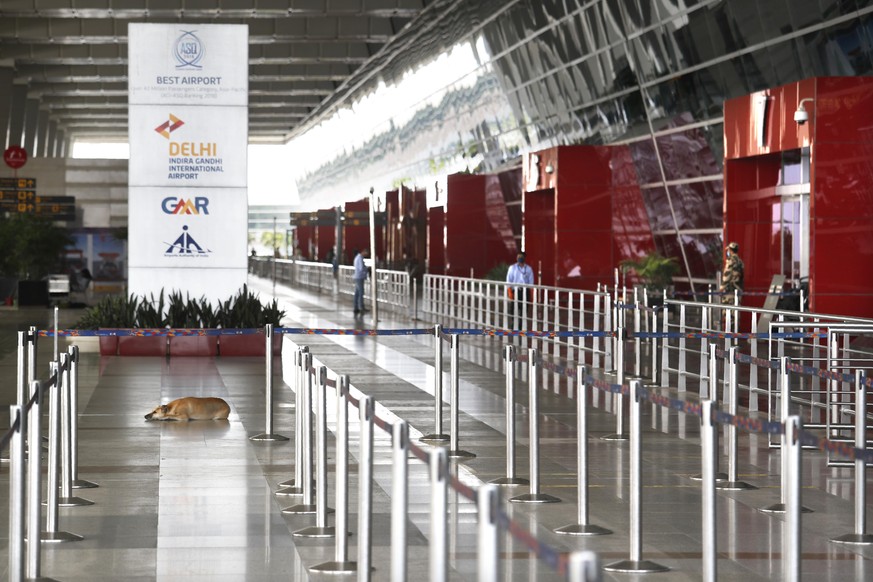 A stray dog sits at the deserted Indira Gandhi international airport during lockdown to control the spread of coronavirus in New Delhi, India, Friday, May 8,2020. India is carrying out several repatri ...