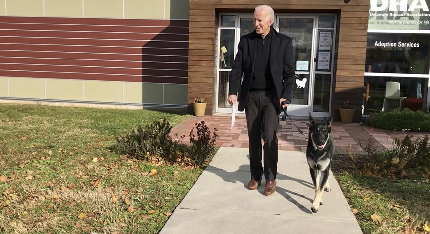FILE - This Nov. 16, 2018, photo, file provided by the Delaware Humane Association shows Joe Biden and his newly-adopted German shepherd Major, in Wilmington, Del. President-elect Biden will likely we ...
