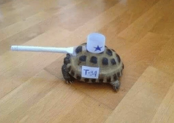 Schildkröte ist ein T34 Panzer. Haha, wie lustig.
Cute News
https://awwmemes.com/i/19639355