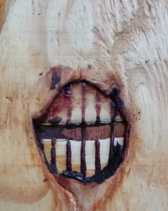 Gruseliges Holz
https://imgur.com/gallery/6FP48