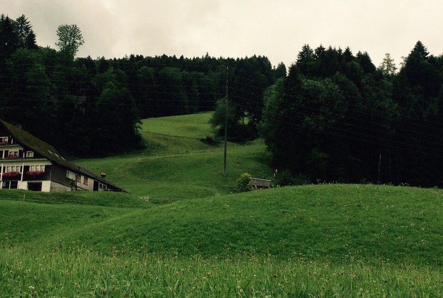 Hier befand sich die Weltcupstrecke von Ebnat-Kappel am Girlen.