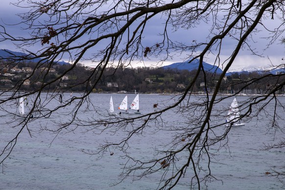 Des bateaux &quot;Laser&quot; et des planches a voile naviguent par vent fort sur le lac Leman , ce samedi 13 mars 2021 a Geneve. (KEYSTONE/Salvatore Di Nolfi)