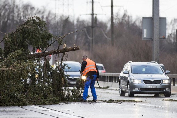 epa06414515 The highway A1 near Wangen, Switzerland, is blocked by a tree after the winter storm Burglind has caused some damage all over Switzerland 03 January 2018. The Storm Burglind is expected to ...