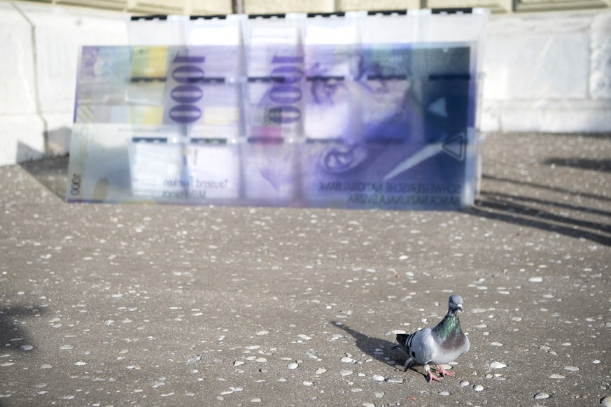 Eine Taube fotografiert vor den Boxen mit die Unterschriften wahrend der Einreichung der Transparenz-Initiative, am Dienstag, 10. Oktober 2017 in Bern. Das ueberparteiliche Komitee - bestehend aus SP, ...