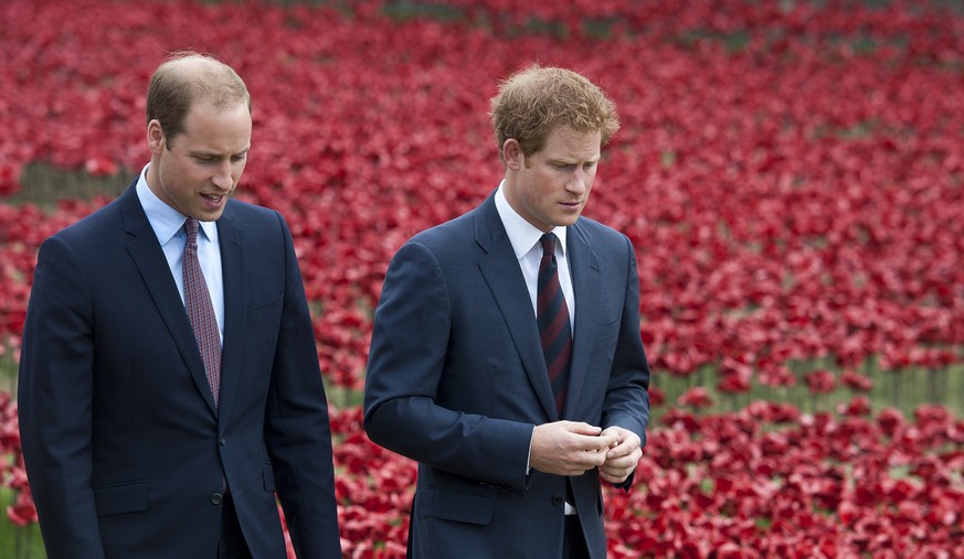 epa08116537 (FILE) - Britain&#039;s Prince William, Duke of Cambridge (L) and Prince Harry, Duke of Sussex, (R) walk through a sea of red poppies inside the moat at the Tower of London in London, Brit ...