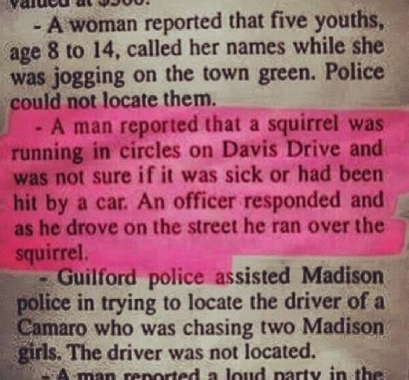 «Ein Mann meldete ein im Kreis rennendes Eichhörnchen. Er war nicht sicher, ob es krank war oder angefahren wurde. Ein herbeieilender Streifenwagen überfuhr das Tier.»