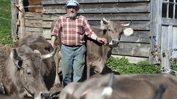 Mountain farmer Armin Capaul outside with his &quot;Braunvieh&quot; cows, pictured on April 7, 2011, in Perrefitte near Moutier in the canton of Berne, Switzerland. Capaul contends for cows and goats  ...