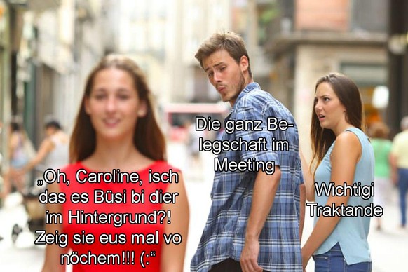 Zoom-/Video-Calls und Home Office in Memes