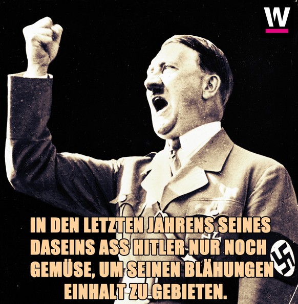 Der Diktator des Deutschen Reiches Adolf Hitler (1889-1945).