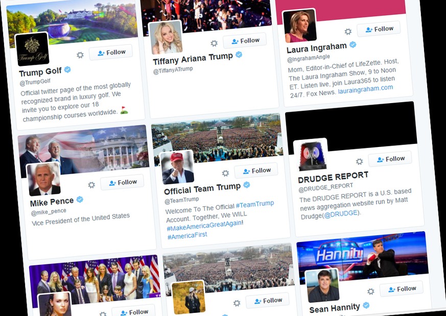 Trumps 41 «Verfolgte» auf Twitter.